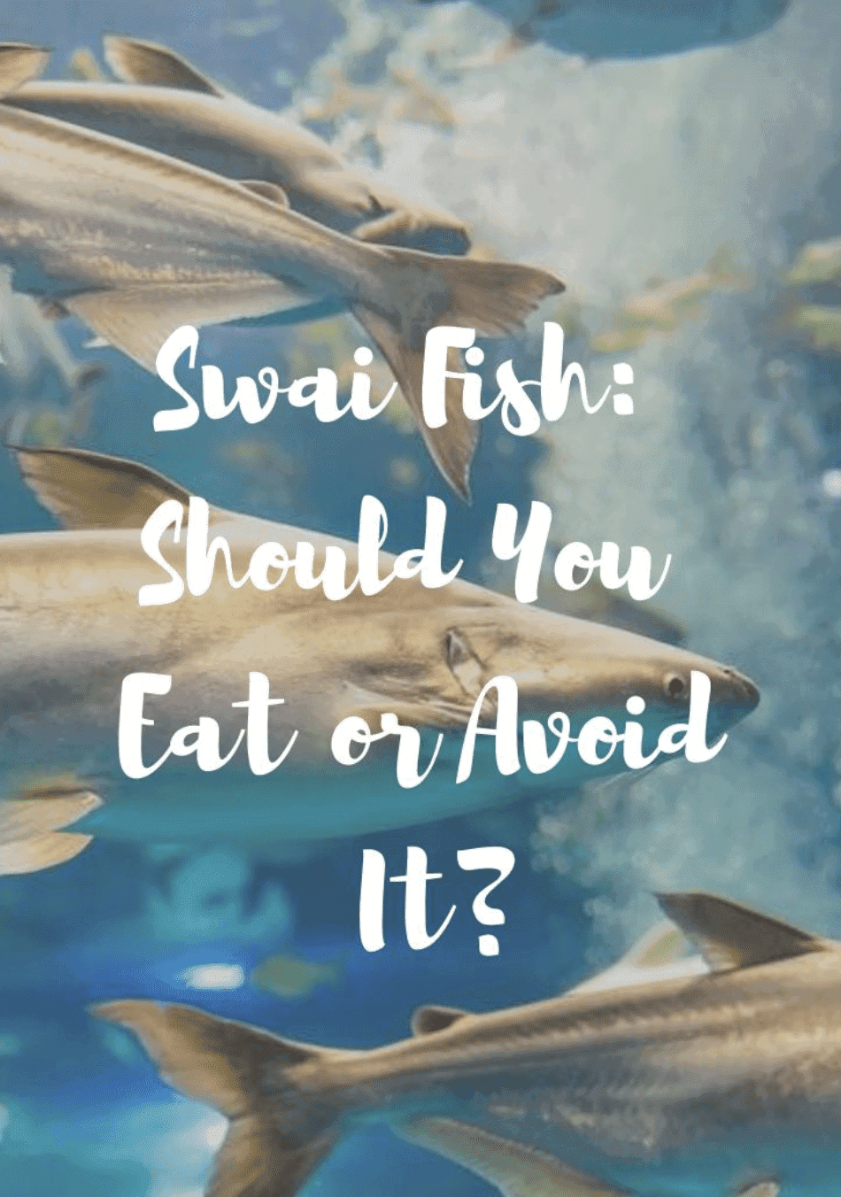 Do you eat Swai Fish? Reasons you should stop