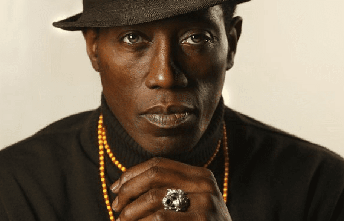 Wesley Snipes The Action Hero's Life And Career